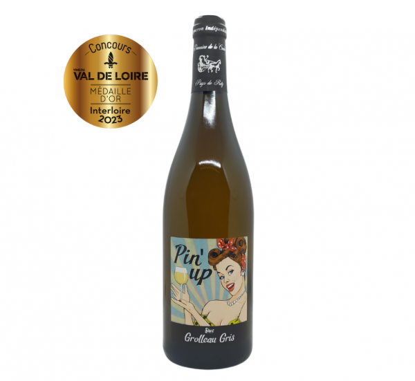 Pin'Up Grolleau Gris - Vin Blanc 2022